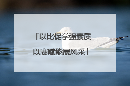 以比促学强素质 以赛赋能展风采