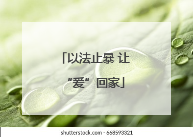 以法止暴 让“爱”回家
