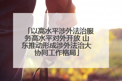 以高水平涉外法治服务高水平对外开放 山东推动形成涉外法治大协同工作格局