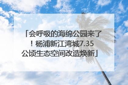 会呼吸的海绵公园来了！杨浦新江湾城7.35公顷生态空间改造焕新