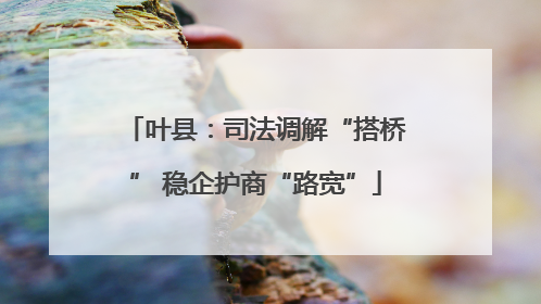 叶县：司法调解“搭桥” 稳企护商“路宽”