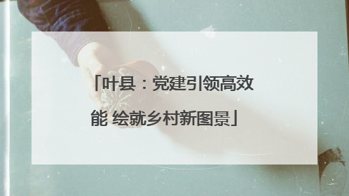 叶县：党建引领高效能 绘就乡村新图景