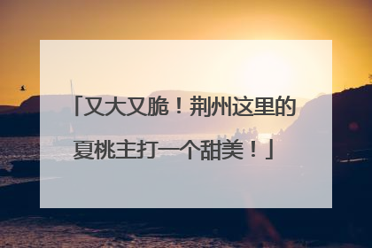 又大又脆！荆州这里的夏桃主打一个甜美！