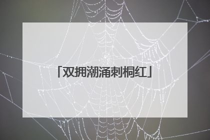 双拥潮涌刺桐红