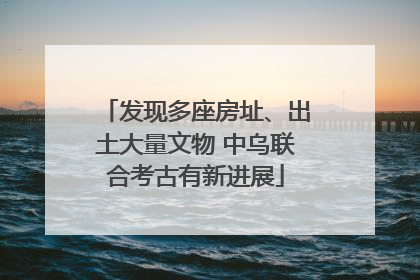 发现多座房址、出土大量文物 中乌联合考古有新进展