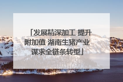 发展精深加工 提升附加值 湖南生猪产业谋求全链条转型