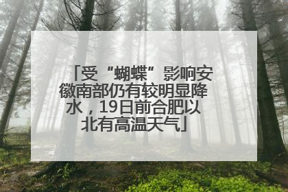 受“蝴蝶”影响安徽南部仍有较明显降水，19日前合肥以北有高温天气
