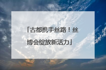 古都携手丝路！丝博会绽放新活力