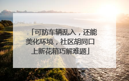 可防车辆乱入，还能美化环境，社区胡同口上新花箱巧解难题