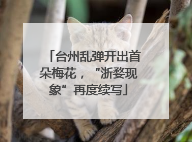 台州乱弹开出首朵梅花，“浙婺现象”再度续写