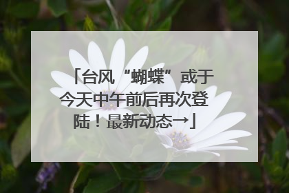 台风“蝴蝶”或于今天中午前后再次登陆！最新动态→
