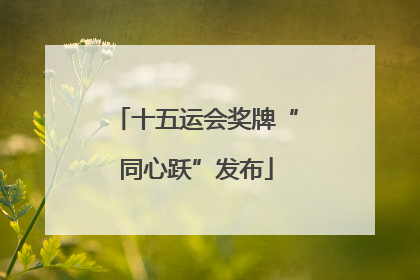 十五运会奖牌“同心跃”发布