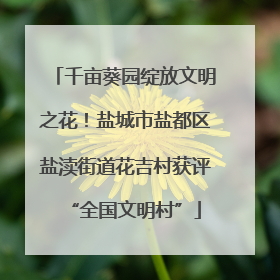 千亩葵园绽放文明之花！盐城市盐都区盐渎街道花吉村获评“全国文明村”