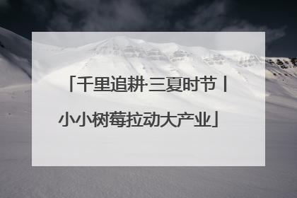 千里追耕·三夏时节丨小小树莓拉动大产业