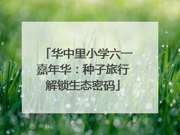 华中里小学六一嘉年华：种子旅行解锁生态密码