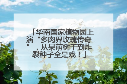 华南国家植物园上演“多肉界玫瑰传奇”，从呆萌树干到炸裂种子全是戏！