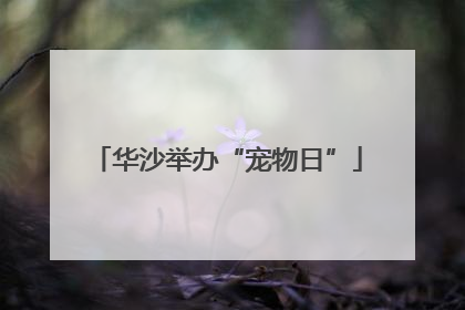 华沙举办“宠物日”