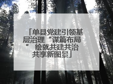 单县党建引领基层治理“谋篇布局” 绘就共建共治共享新图景