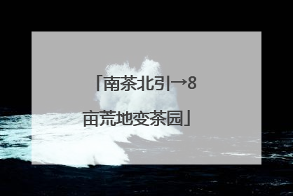 南茶北引→8亩荒地变茶园