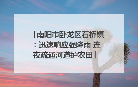 南阳市卧龙区石桥镇：迅速响应强降雨 连夜疏通河道护农田