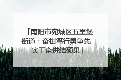 南阳市宛城区五里堡街道：奋楫笃行勇争先 实干奋进结硕果