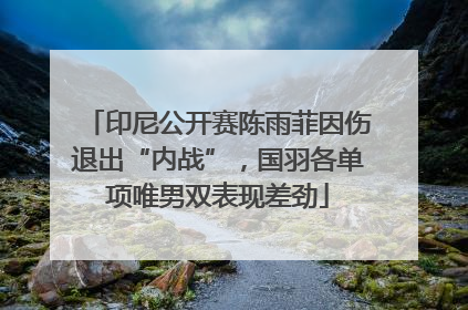 印尼公开赛陈雨菲因伤退出“内战”，国羽各单项唯男双表现差劲