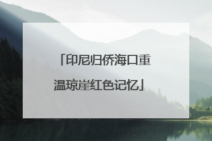 印尼归侨海口重温琼崖红色记忆