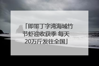 即墨丁字湾海域竹节虾迎收获季 每天20万斤发往全国