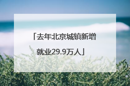 去年北京城镇新增就业29.9万人