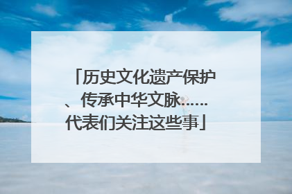 历史文化遗产保护、传承中华文脉……代表们关注这些事
