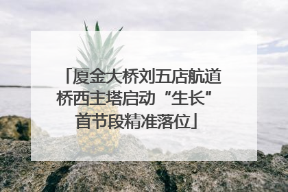 厦金大桥刘五店航道桥西主塔启动“生长” 首节段精准落位