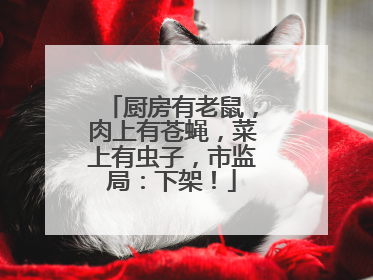 厨房有老鼠，肉上有苍蝇，菜上有虫子，市监局：下架！