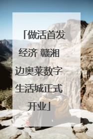 做活首发经济 赣湘边奥莱数字生活城正式开业