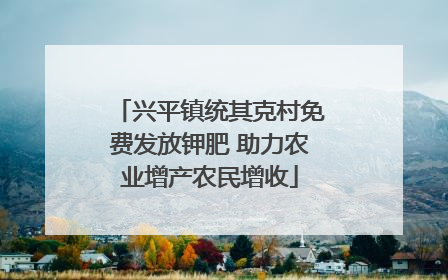 兴平镇统其克村免费发放钾肥 助力农业增产农民增收