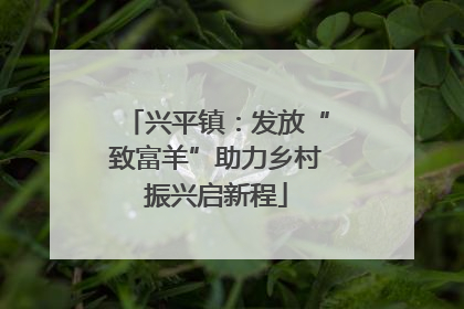 兴平镇：发放“致富羊”助力乡村振兴启新程