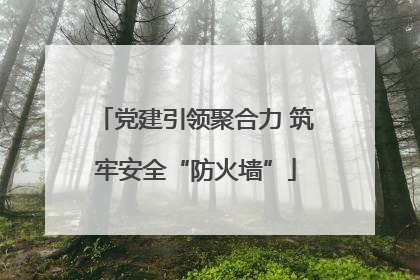 党建引领聚合力 筑牢安全“防火墙”