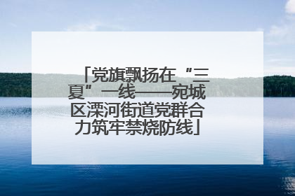 党旗飘扬在“三夏”一线——宛城区溧河街道党群合力筑牢禁烧防线