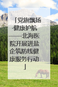 党旗飘扬·健康护航——北海医院开展进盐企筑防线健康服务行动