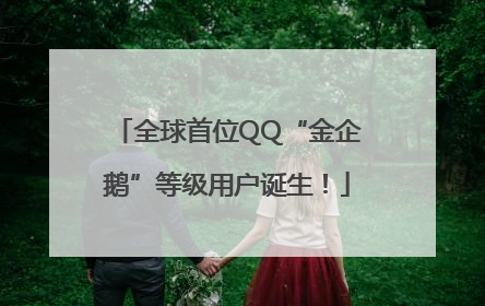 全球首位QQ“金企鹅”等级用户诞生！