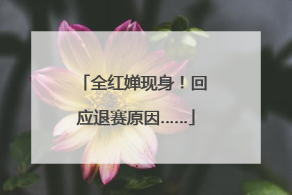 全红婵现身！回应退赛原因……