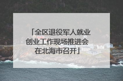 全区退役军人就业创业工作现场推进会在北海市召开