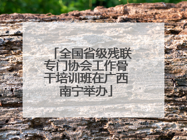 全国省级残联专门协会工作骨干培训班在广西南宁举办