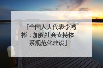 全国人大代表李鸿彬：加强社会支持体系规范化建设