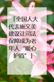 全国人大代表施文美建议让司法保障成为老年人“暖心护盾”