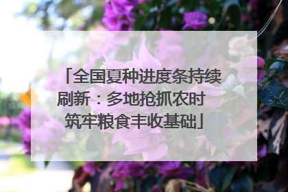 全国夏种进度条持续刷新：多地抢抓农时 筑牢粮食丰收基础