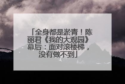 全身都是淤青！陈丽君《我的大观园》幕后：面对滚楼梯，没有做不到