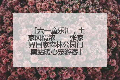 六一童乐汇，土家风情浓——张家界国家森林公园门票站暖心宠游客