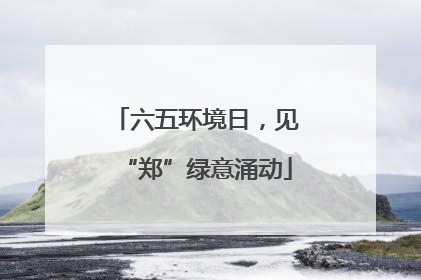 六五环境日，见“郑”绿意涌动