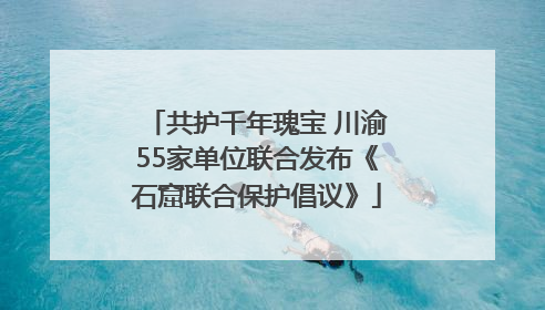 共护千年瑰宝 川渝55家单位联合发布《石窟联合保护倡议》