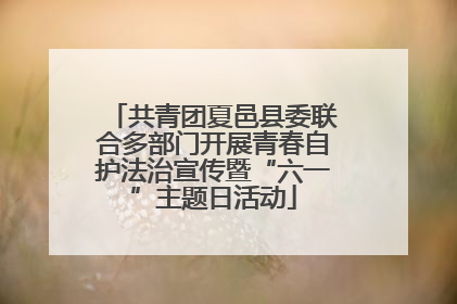 共青团夏邑县委联合多部门开展青春自护法治宣传暨“六一”主题日活动